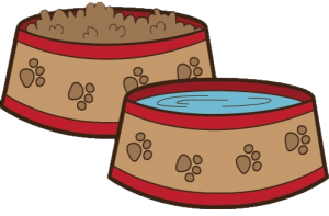 doggy food and water bowls